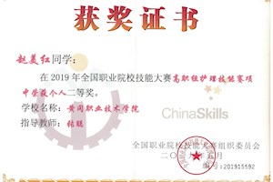 2019年全国职业院校技能大赛个人二等奖-护理