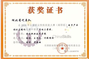 2018年全国职业院校技能大赛团体三等奖-电子产品